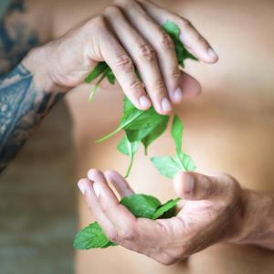  Gel de duche 3 em 1 para homem Energia de menta frasco 500 ml