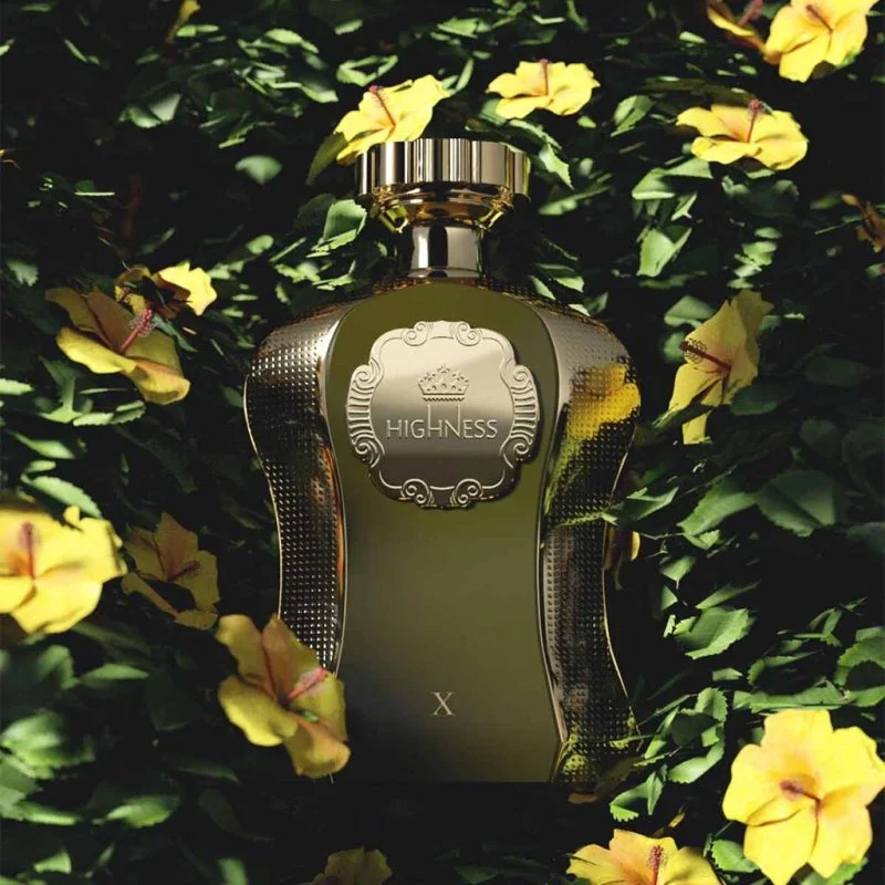 Afnan Highness X Eau de Parfum para homens