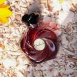 Gardenia U Água de Perfume 75 ml