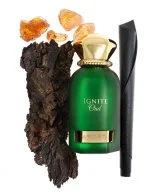 Ignite Oud U água de perfume 60 ml