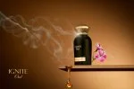 Ignite Oud U água de perfume 60 ml