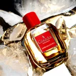 Ambassadora For Women água de perfume para mulheres 100 ml