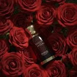 1950 Sunset in Dubai Extrato de Perfume Unissex 100 ml