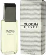 Quorum Silver eau de toilette 100 ml para homens