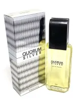 Quorum Silver eau de toilette 100 ml para homens