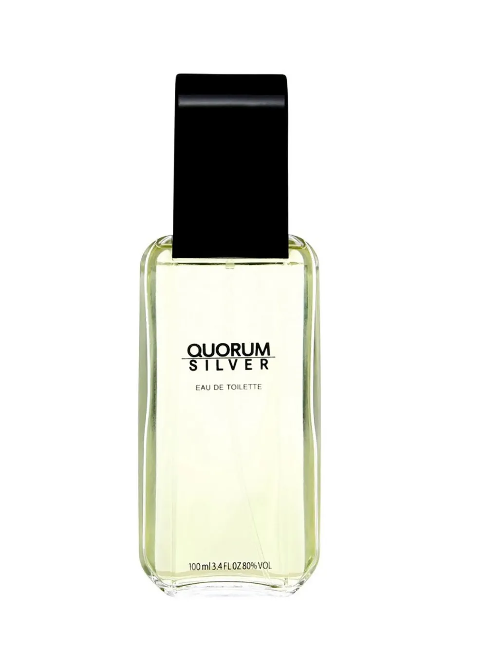 Quorum Silver eau de toilette 100 ml para homens
