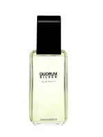 Quorum Silver eau de toilette 100 ml para homens