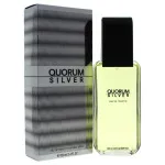 Quorum Silver eau de toilette 100 ml para homens
