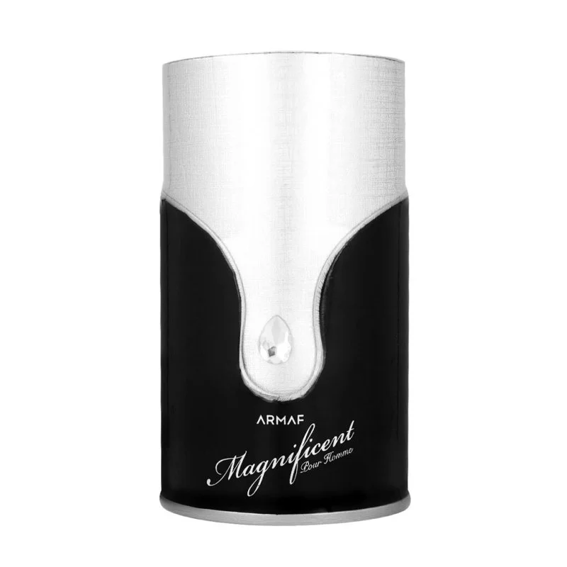 Armaf Magnificent Pour Homme eau de parfum para homem