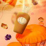 Bel Canto Eau de Parfum unissex 100 ml