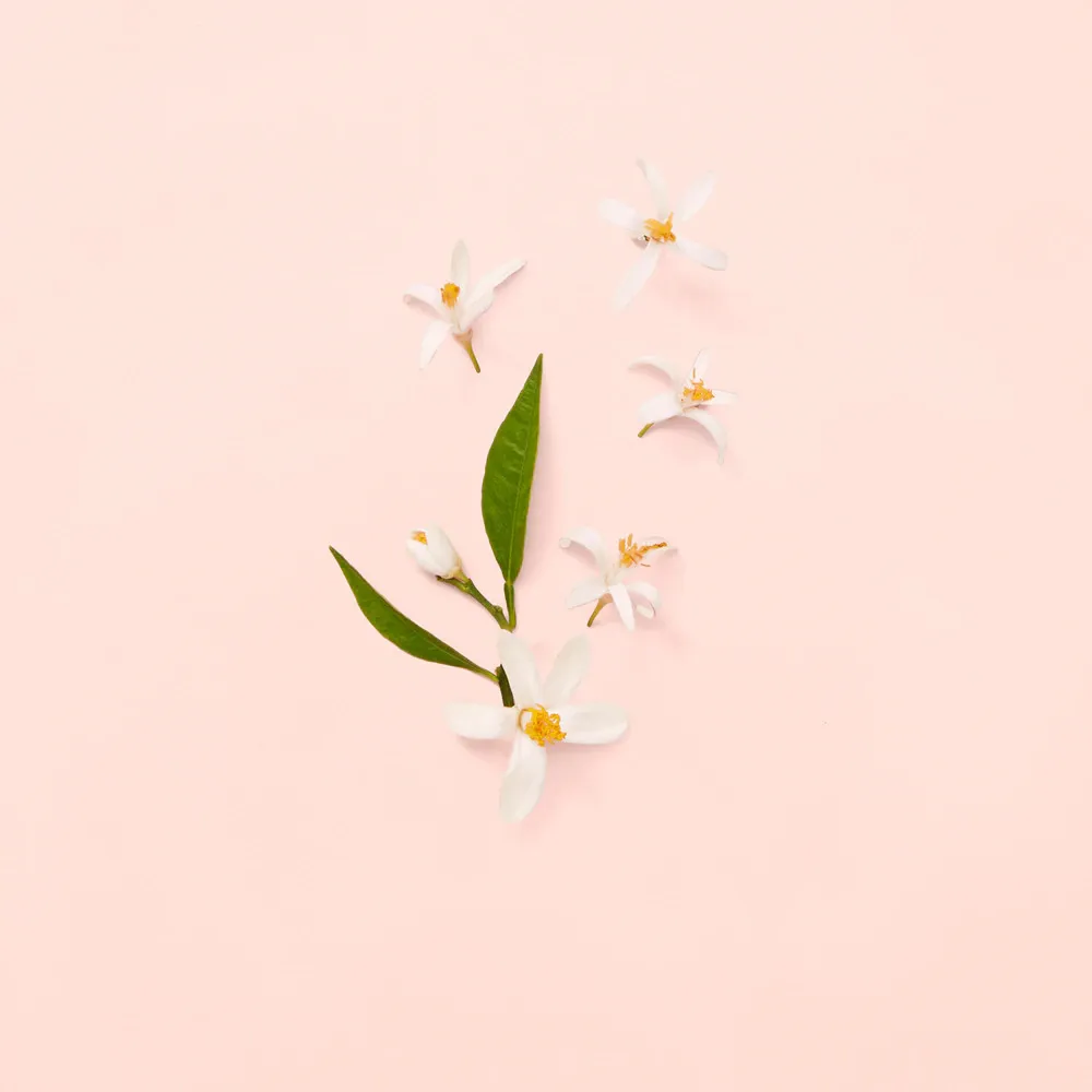 Bloom Eau de Toilette para mulheres 100 ml