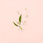 Bloom Eau de Toilette para mulheres 100 ml