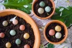 Blossombs Bombas de sementes - Conjunto de presente pequeno - Feliz casa nova (7 unidades) - um presente original e prático num só
