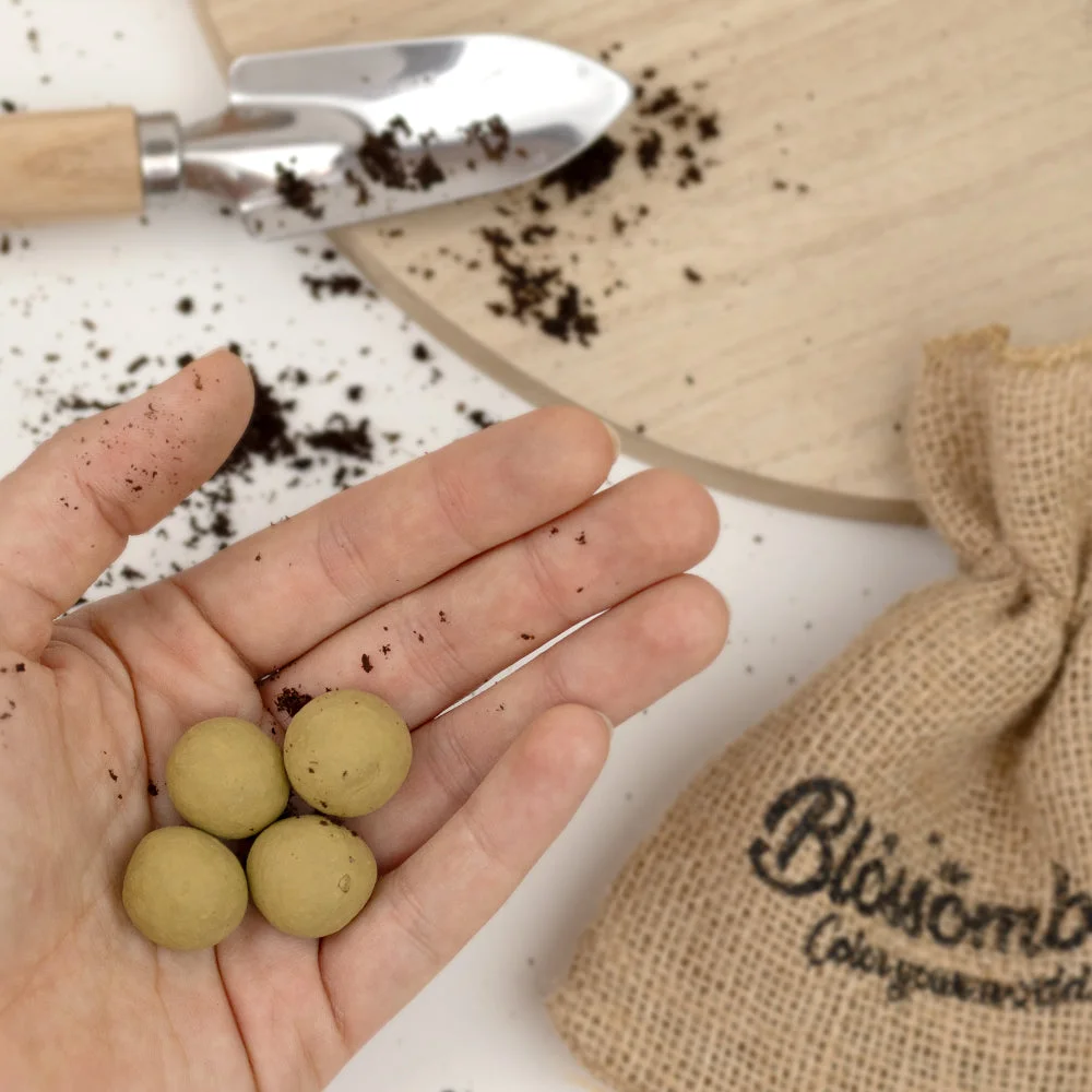 Blossombs Bombas de sementes - Kit presente mini - Jardim de ervas (4 un.) - um presente original e prático num só