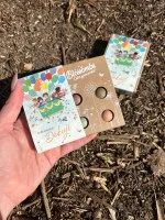 Blossombs Bombas de sementes - Conjunto de oferta mini - Mil vezes obrigado por tudo (4 un.) - Ofereça uma flor de forma diferente