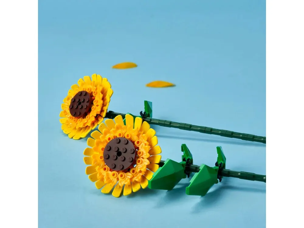 Botanicals 40524 Girassol