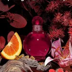 Hidden Fantasy eau de parfum para mulheres 100 ml