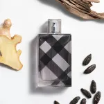 Brit For Men eau de toilette para homens 100 ml