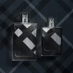 Brit For Men eau de toilette para homens 100 ml