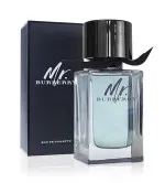 Mr. Burberry eau de toilette para homens 100 ml