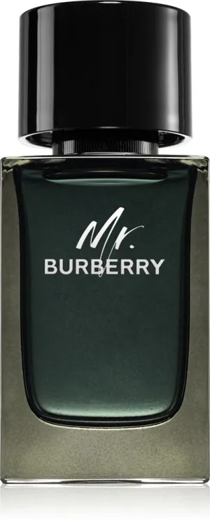Burberry Mr. Burberry eau de parfum para homens 100 ml