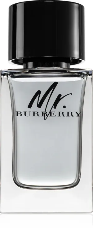 Burberry Mr. Burberry eau de toilette para homens 100 ml