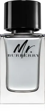 Mr. Burberry eau de toilette para homens 100 ml