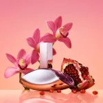 Euphoria eau de parfum para mulheres 50 ml