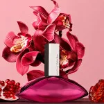 Euphoria eau de parfum para mulheres 50 ml