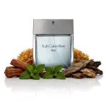 Truth For Men eau de toilette 100 ml para homens