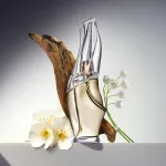 Cashmere Mist Eau de Toilette para mulheres 100 ml