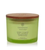 Vela perfumada Chesapeake Bay Awaken + Invigorate com 3 pavios 312 g
