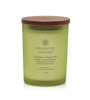 Chesapeake Bay Awaken + Invigorate Lemongrass Eucalyptus vela perfumada 250 g