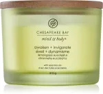 Vela perfumada Chesapeake Bay Awaken + Invigorate com 3 pavios 312 g