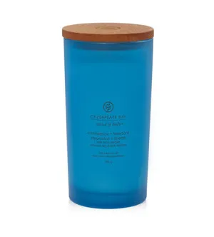 Vela perfumada Chesapeake Bay Confidence + Freedom 355 g
