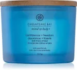 Confidence + Freedom vela perfumada com 3 pavios 312 g