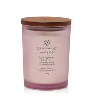 Vela perfumada Chesapeake Bay Joy + Laughter 250 g