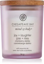 Vela aromática Chesapeake Bay Joy + Laughter 355 g
