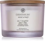 Vela perfumada Chesapeake Bay Joy + Laughter com 3 pavios 312 g