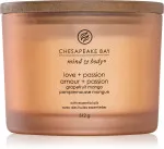 Vela perfumada Chesapeake Bay Love + Passion com 3 pavios 312 g