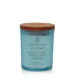 Vela perfumada Chesapeake Bay Reflection + Clarity 96 g