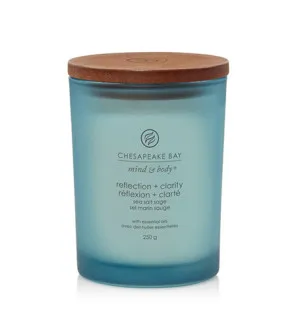 Vela perfumada Chesapeake Bay Reflection + Clarity 250 g
