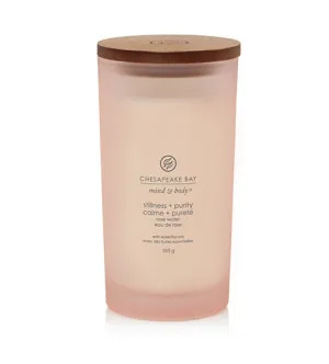 Vela perfumada Chesapeake Bay Stillness + Purity 355 g