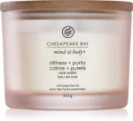 Vela perfumada Chesapeake Bay Stillness + Purity com 3 pavios 312 g