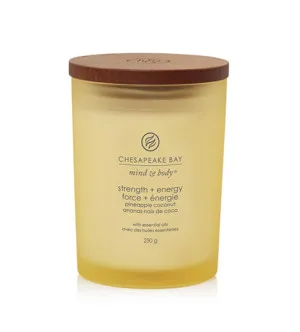Chesapeake Bay Strength + Energy vela perfumada 250 g