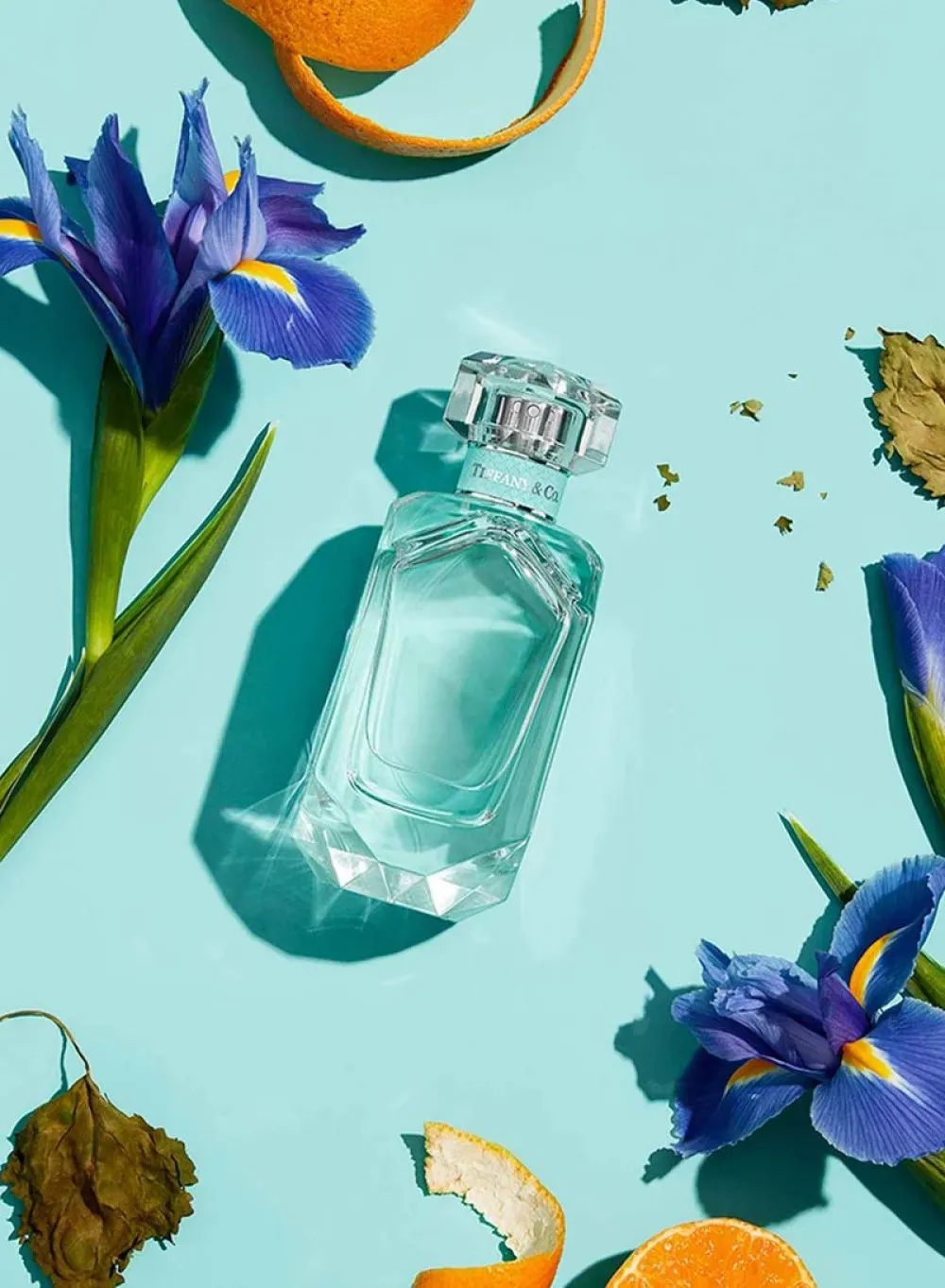 & Co. Eau de Parfum para mulheres 75 ml