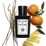 Colonia Essenza água de colónia para homens 180 ml