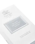 Silver Mountain Water eau de parfum para homens 50 ml