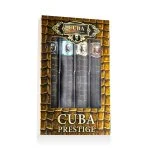 Conjunto Prestige