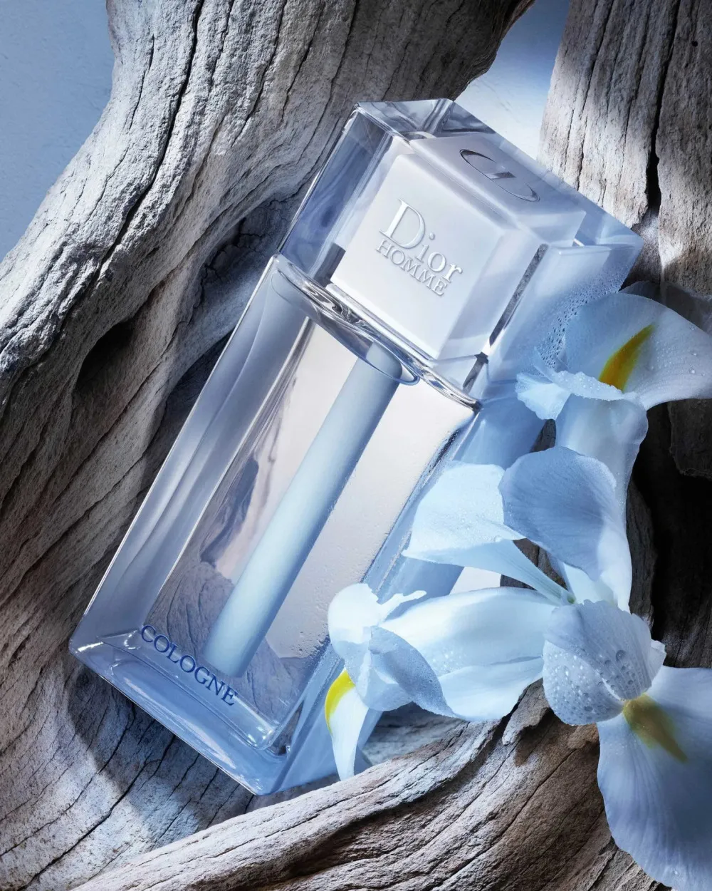 Homme Cologne 2013 eau de cologne para homens 75 ml